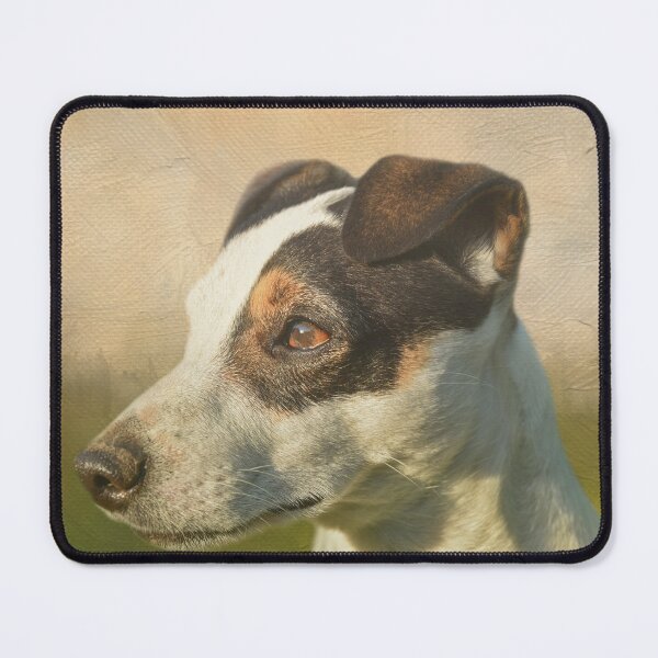 Item preview, Jack Russell Terrier Portrait designed and sold by Elisabeth Lucas.