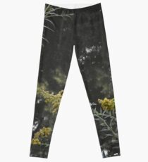 Over my Watery Grave Leggings