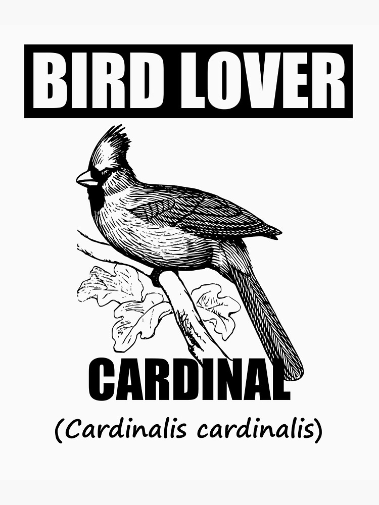 "Cardinal bird lover" Sticker by VeloPsyche Redbubble