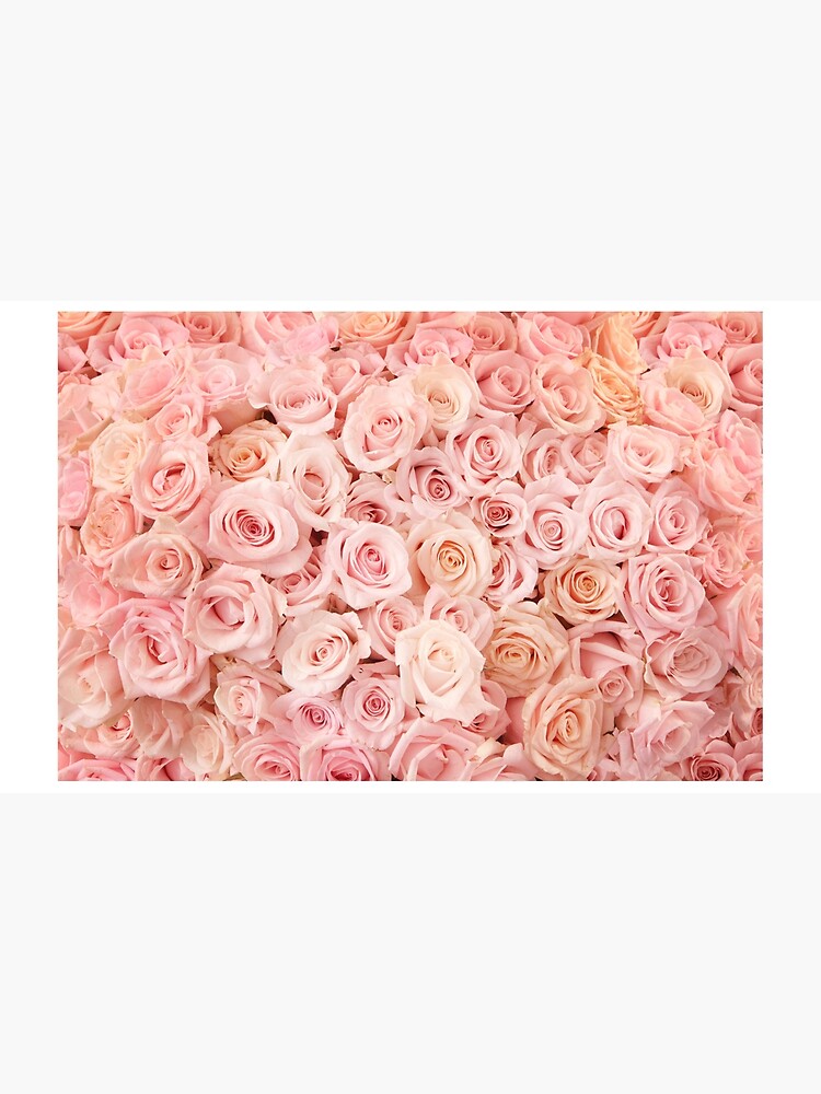 Blush Pink Roses by newburyboutique