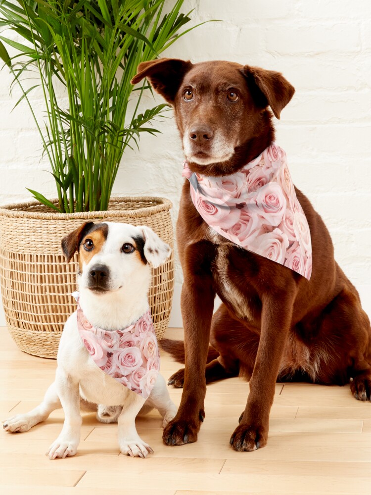 Alternate view of Blush Pink Roses Pet Bandana