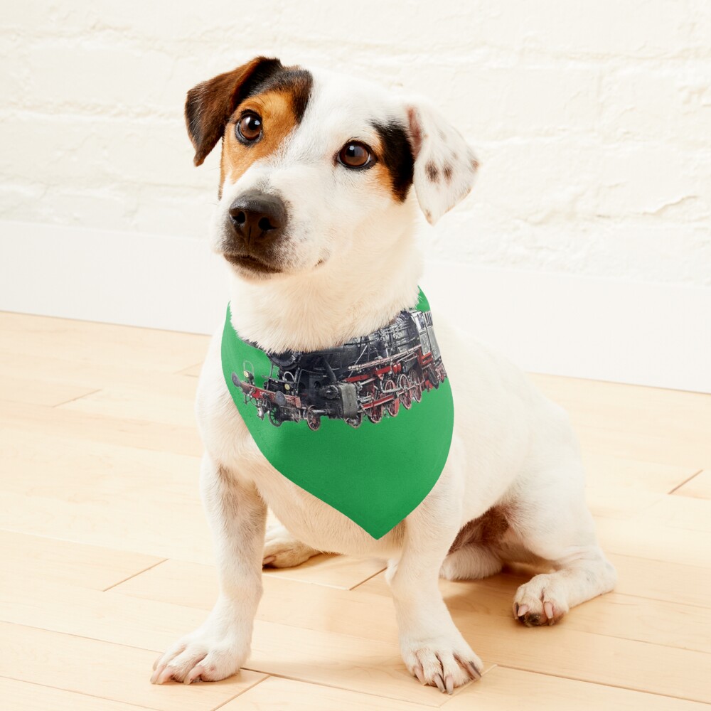 Item preview, Pet Bandana designed and sold by roggcar.