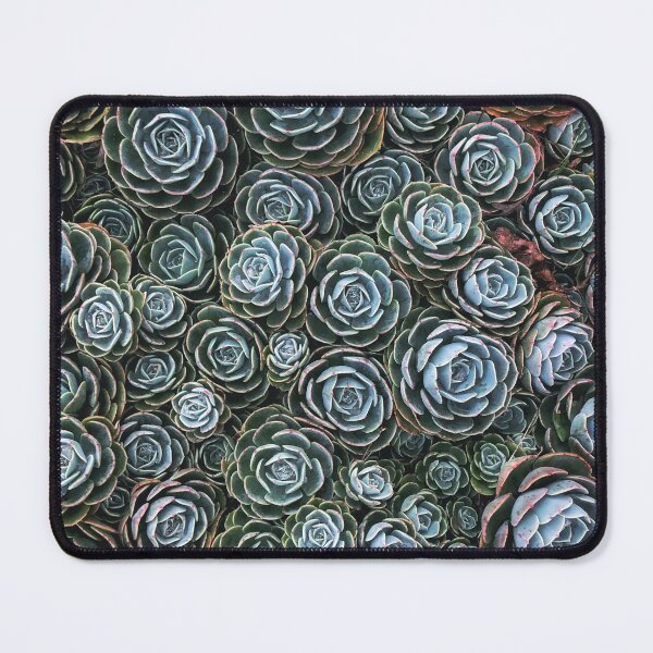 Item preview, Succulent Society    designed and sold by LisaDCreates.