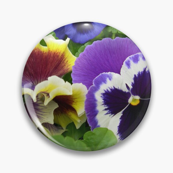 Artikelvorschau, Pansy Masterpiece Mix Hübsche Blumen entworfen und verkauft von cascadecuts.