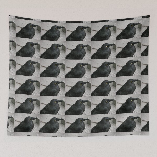 Item preview, Currawong at Waldheim Cabin, Cradle Mountain, Tasmania, Australia. designed and sold by kaysharp.