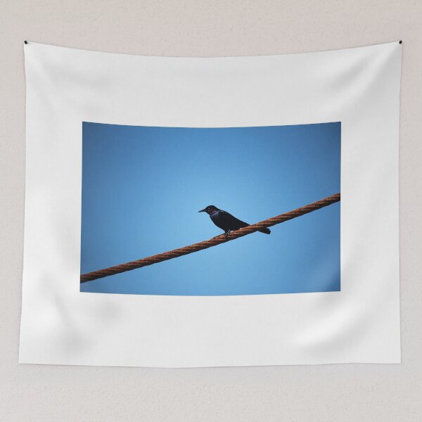 Item preview, Grackle On A Rope designed and sold by Cynthia48.