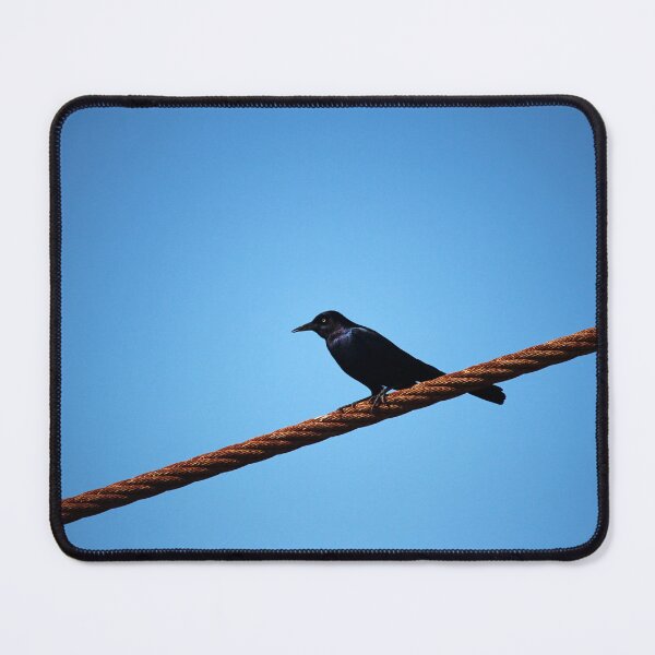 Item preview, Grackle On A Rope designed and sold by Cynthia48.