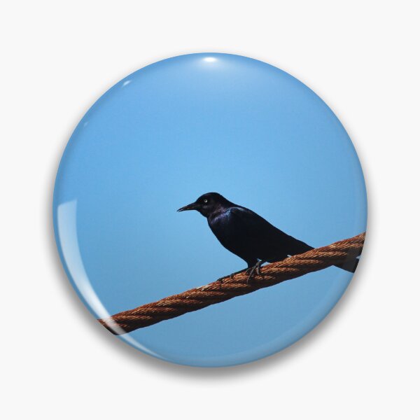 Item preview, Grackle On A Rope designed and sold by Cynthia48.