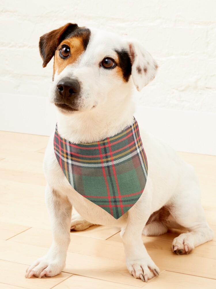 Tartan on sale dog bandana