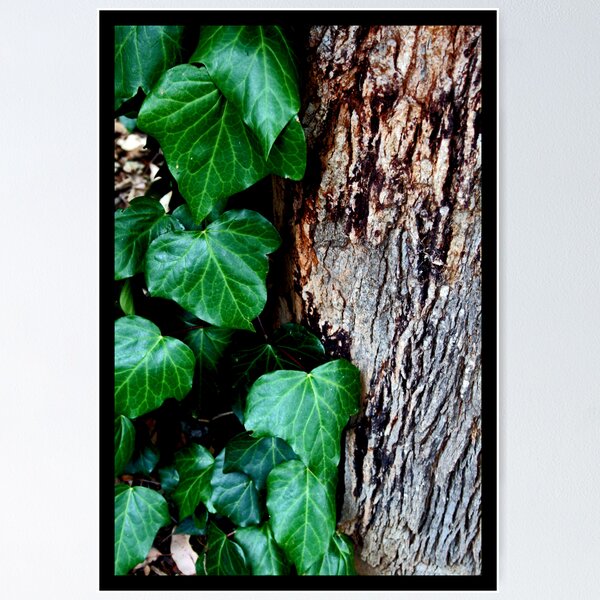 Item preview, contrast designed and sold by inspiredmemories.