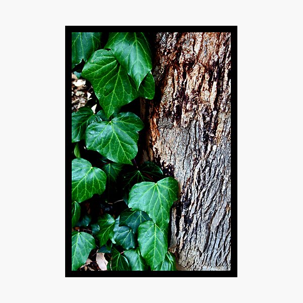 Artikelvorschau, contrast entworfen und verkauft von inspiredmemories.