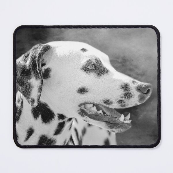 Item preview, Dalmatian BW designed and sold by Elisabeth Lucas.
