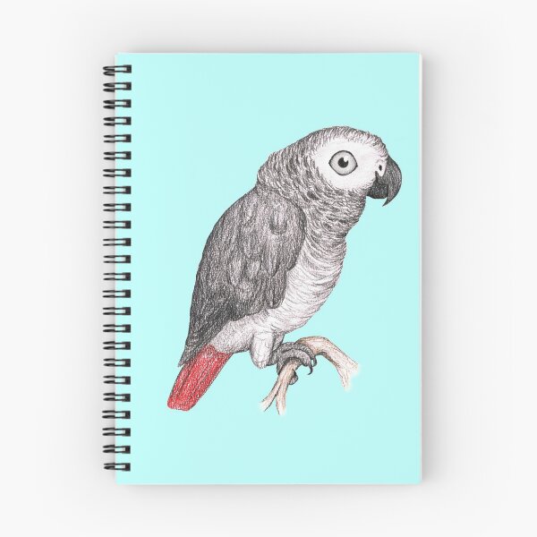 Aperçu de l'œuvre Perroquet gris africain mignon créée et vendue par Bwiselizzy.