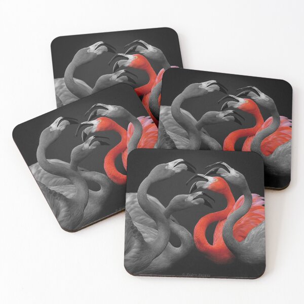 Item preview, Black and white flamingos with one in colour designed and sold by KVDcreations.