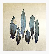Forest Birds Photographic Print