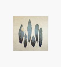 Forest Birds Art Board