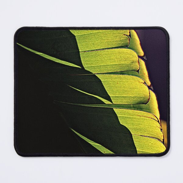 Item preview, Banana Tree Leaves and Shadows Detail Closeup designed and sold by Anna Lemos.