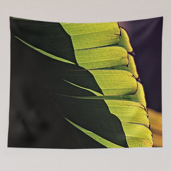 Item preview, Banana Tree Leaves and Shadows Detail Closeup designed and sold by Anna Lemos.
