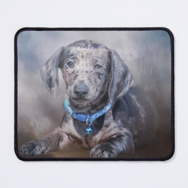 Item preview, Dapple Dachshund designed and sold by Elisabeth Lucas.