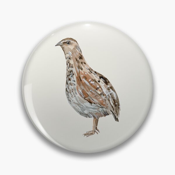 Item preview, Watercolor Quail Bird designed and sold by franktact.