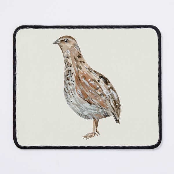 Item preview, Watercolor Quail Bird designed and sold by franktact.