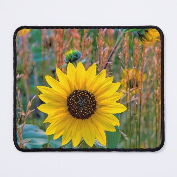 Item preview, It Was Summer designed and sold by alanathrower.