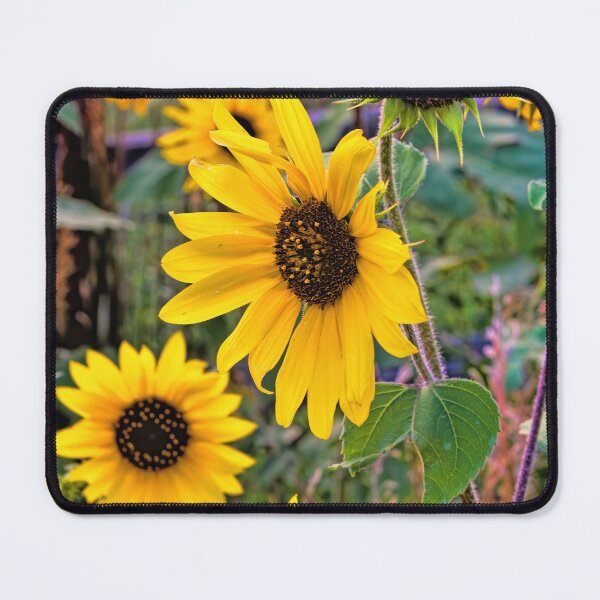 Item preview, A Bird's Garden designed and sold by alanathrower.