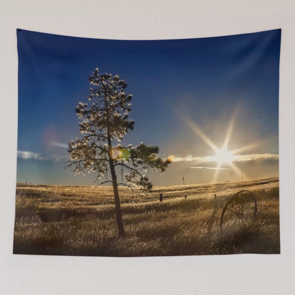 Item preview, Winter Sun designed and sold by alanathrower.
