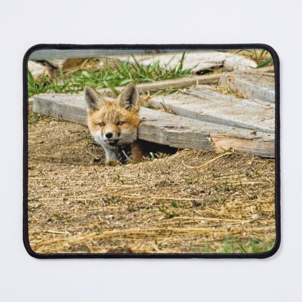 Item preview, Pop Up Fox Kit designed and sold by alanathrower.