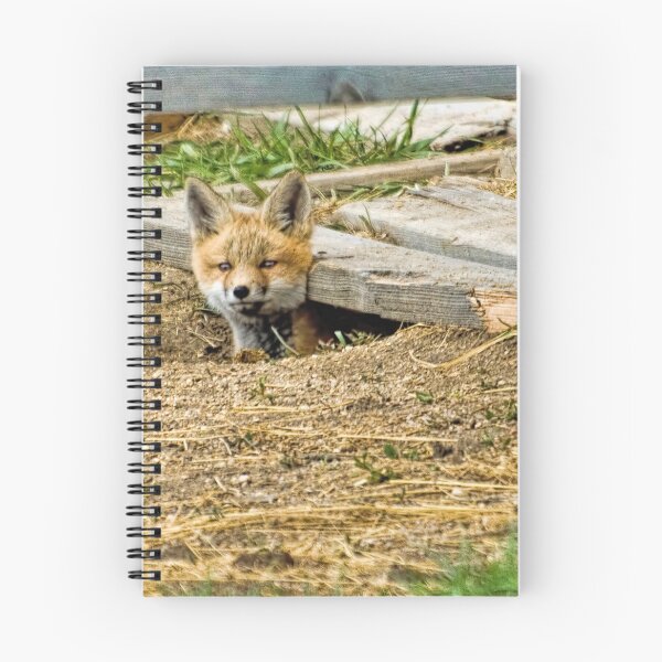 Item preview, Pop Up Fox Kit designed and sold by alanathrower.