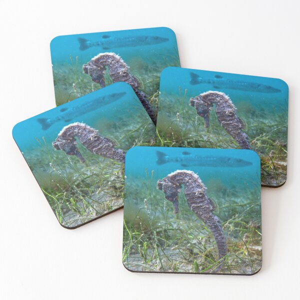 Item preview, Seahorse and Barracuda designed and sold by Crotaluszonata.