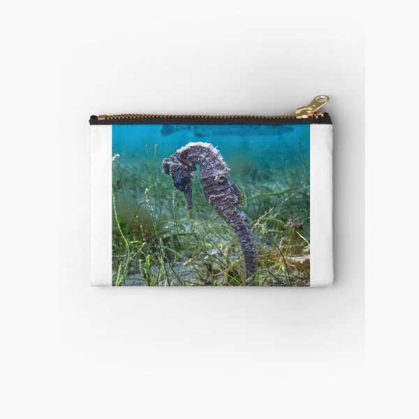 Item preview, Seahorse and Barracuda designed and sold by Crotaluszonata.