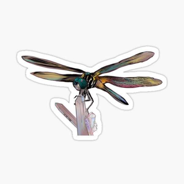 Dragon Fly Healing Crystals Sticker