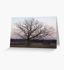 Bare Branches Greeting Card