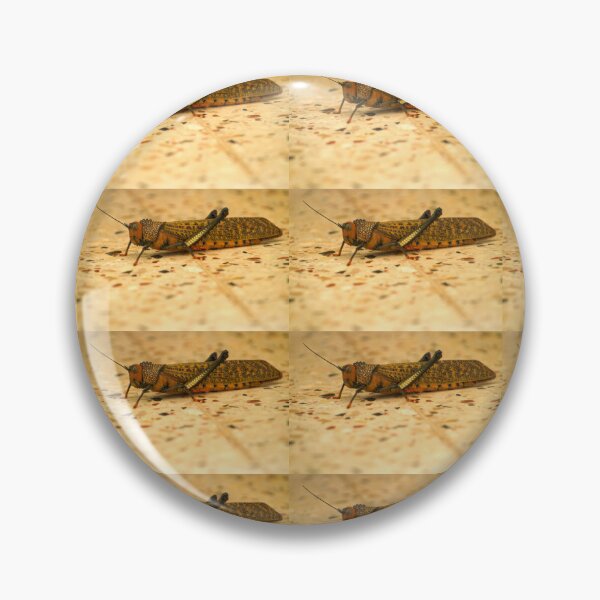 Item preview, kll hopper designed and sold by pcfyi.