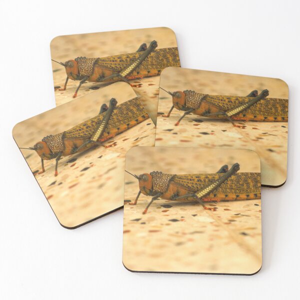Item preview, kll hopper designed and sold by pcfyi.