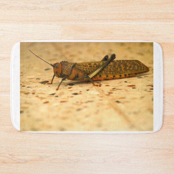 Item preview, kll hopper designed and sold by pcfyi.