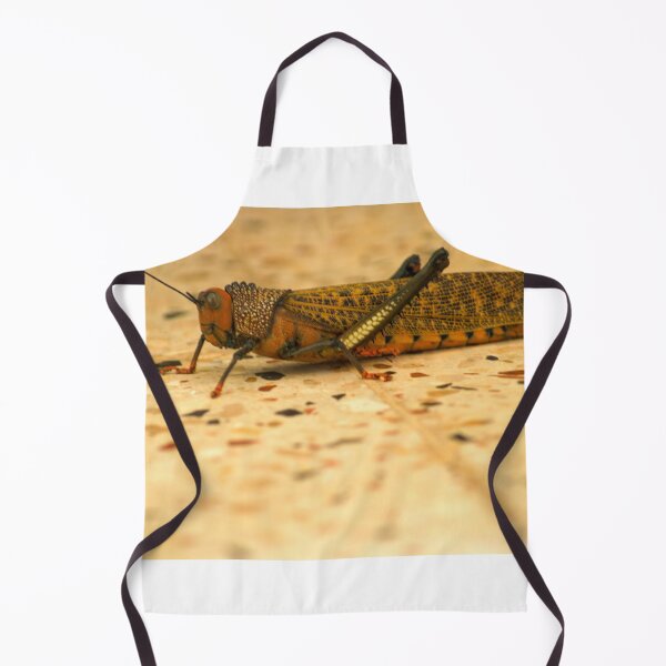 Item preview, kll hopper designed and sold by pcfyi.