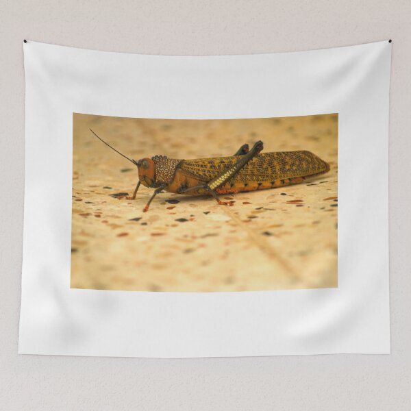 Item preview, kll hopper designed and sold by pcfyi.