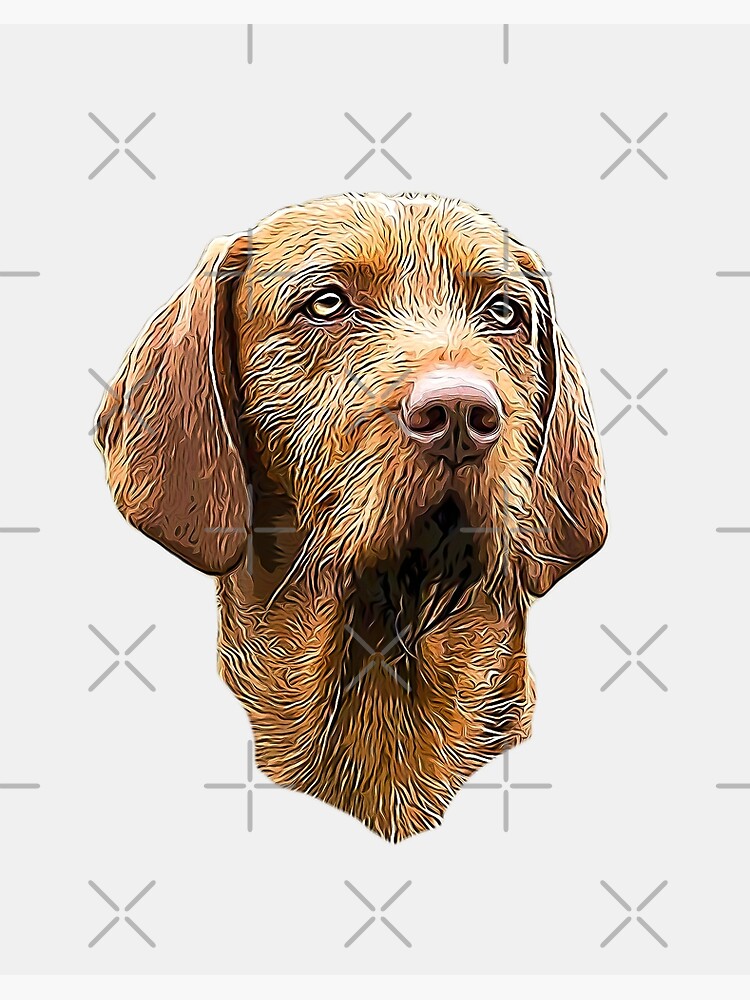 Original WIRE HAIRED VIZSLA dog framed illustration Catherine Redgate art drawing watercolour painting cute animal dogs coloured pencil selling