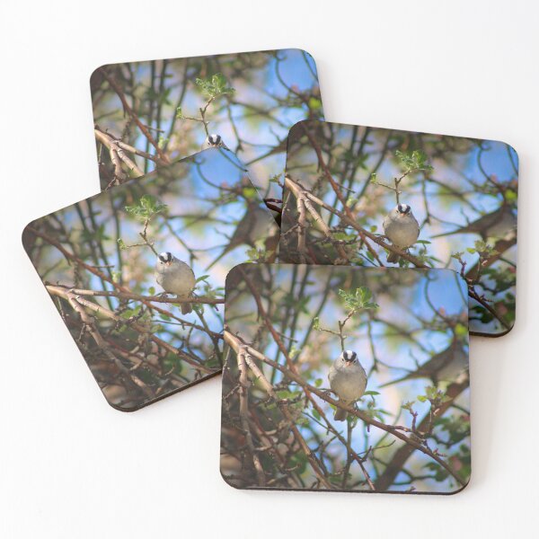 Item preview, Gaze designed and sold by jenstever.