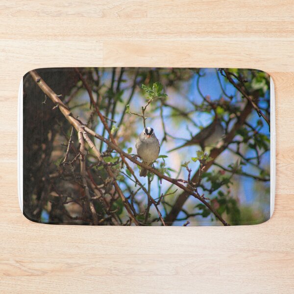 Item preview, Gaze designed and sold by jenstever.