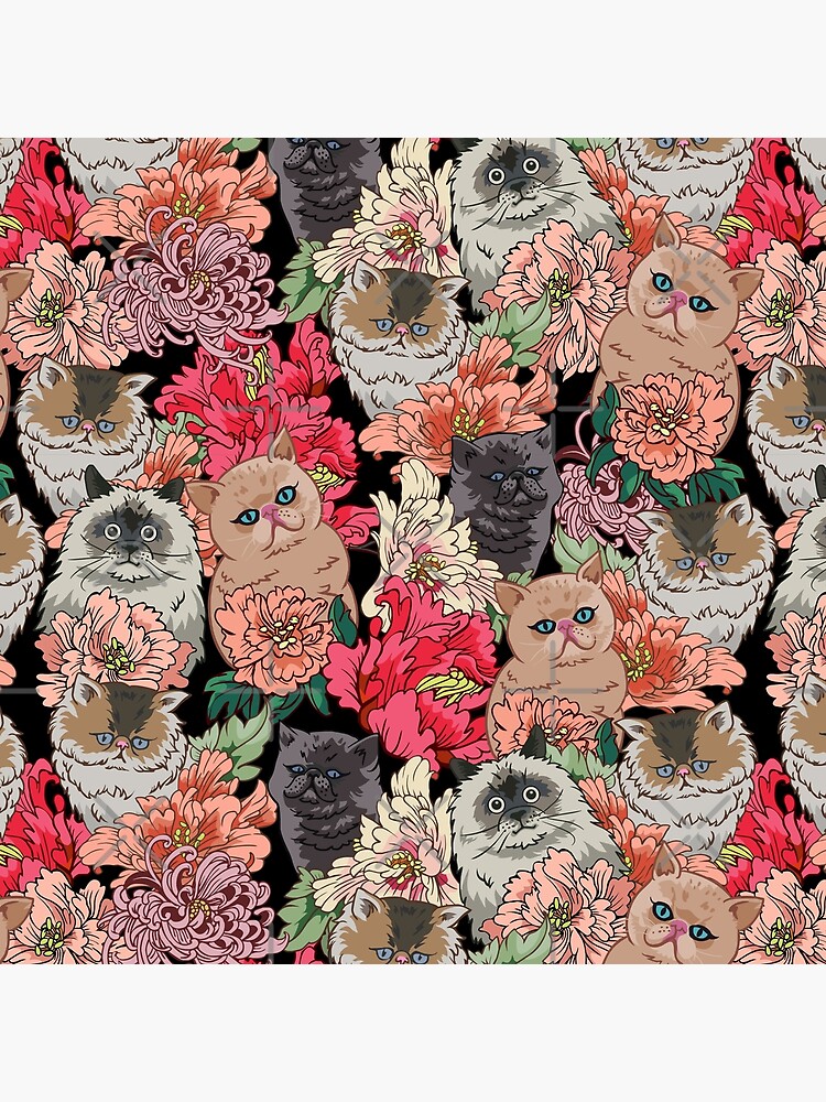 Thumbnail 3 of 3, Photographic Print, Because Cats designed and sold by Huebucket.