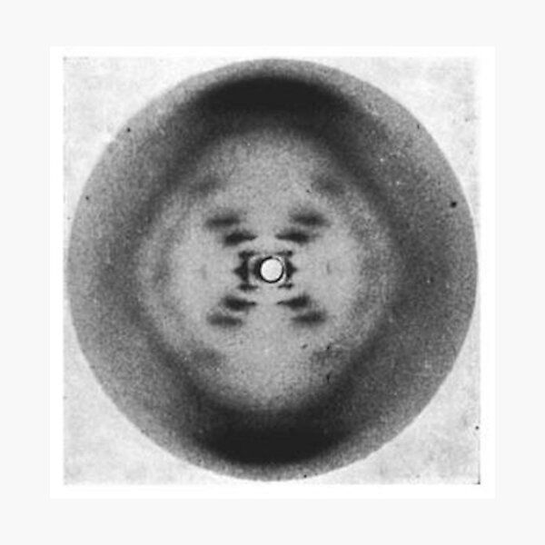 Rosalind Franklin Diffraction Photographic Print
