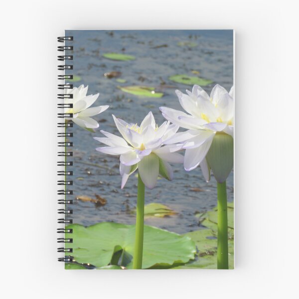Artikelvorschau, Blumen von Kakadu entworfen und verkauft von sharon Wingard.