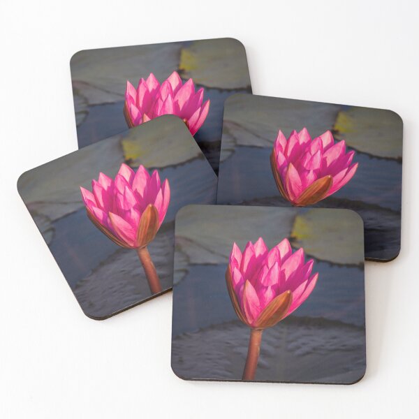 Item preview, Lotus flower  designed and sold by Kevin Hellon.