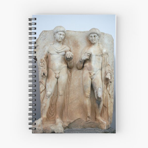 Item preview, Two Princes Roman Sebasteion Relief Sculpture   designed and sold by taiche.