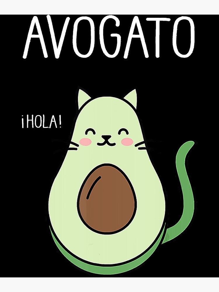 Avogato Funny Hola Retro Cat Avocado Cinco De Mayo Poster By