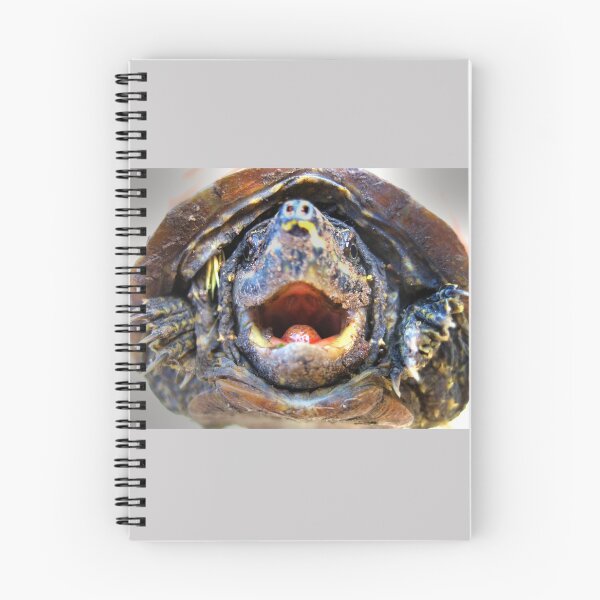 Item preview, Turtle designed and sold by Savannah Gibbs.