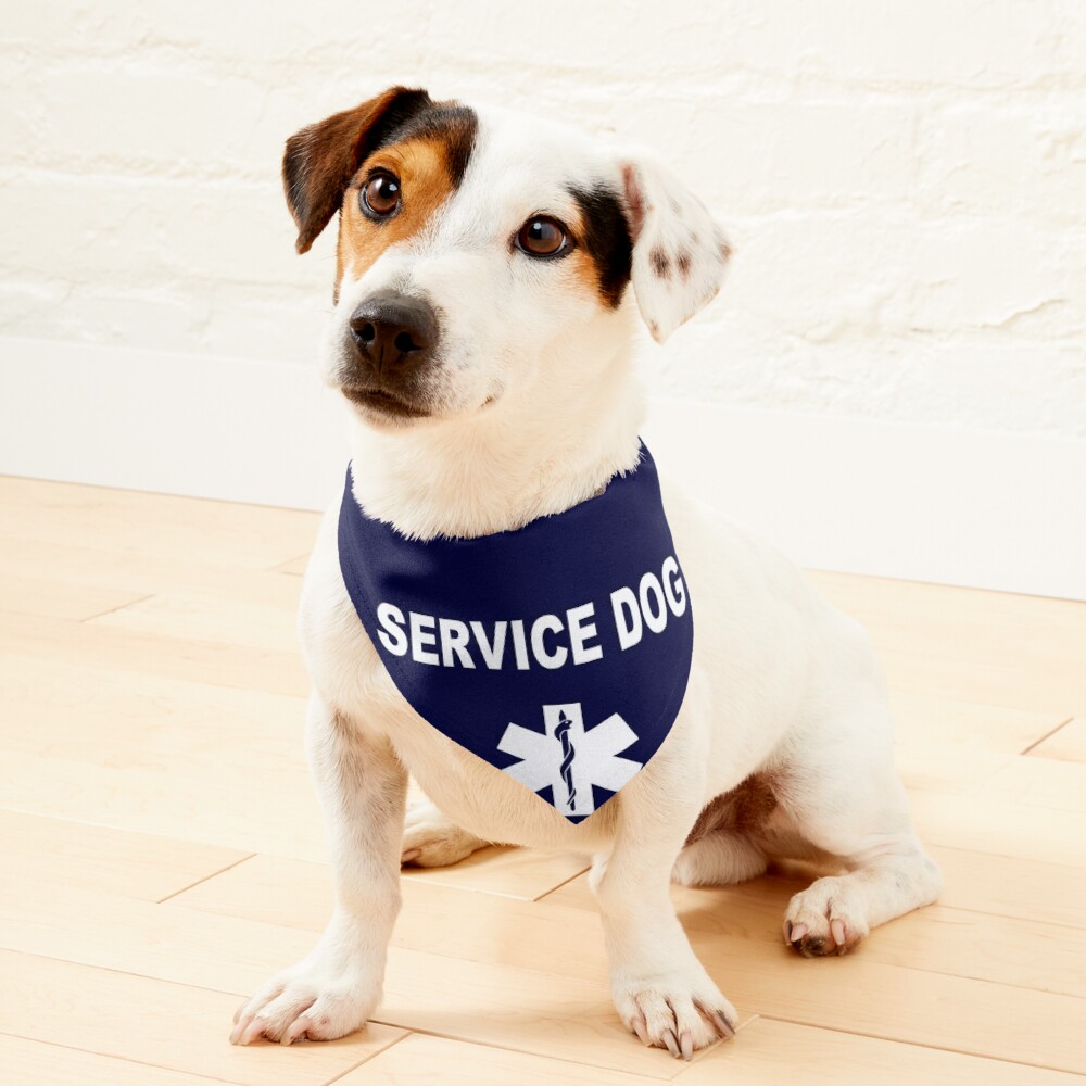 Dallas Cowboys Dog Bandana White - Barking Bad